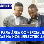 6-Vagas-para-Area-Comercial-e-Vendas-Tecnicas-na-HonleElectric-Angola