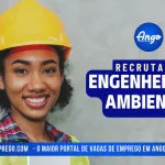Engenheiroa-Ambiental